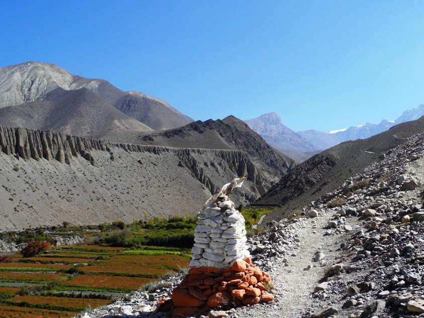Annapurna circuit trek Cultivos en altura en el Himalaya cicuito del annapurna