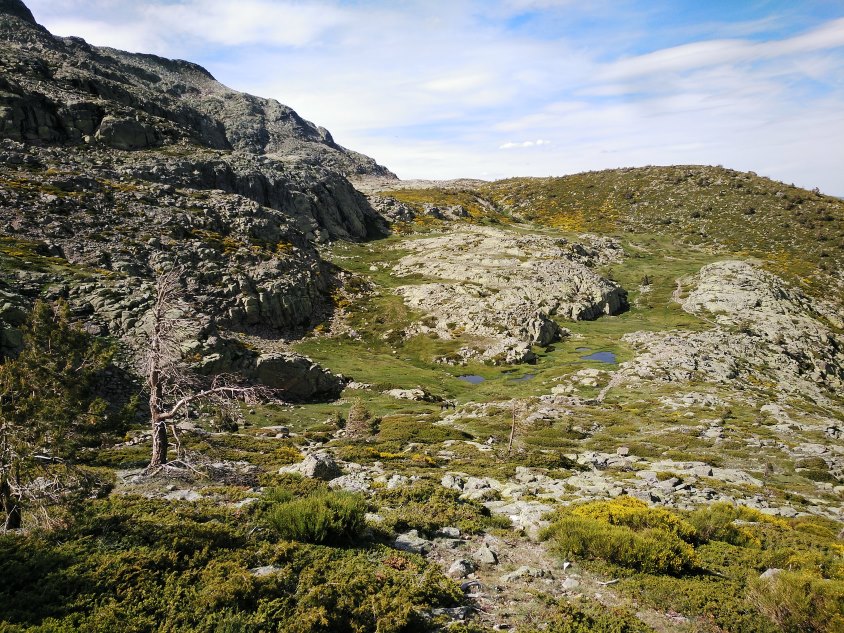 Imagen bonita del Parque Nacional Sierra de Guadarrama